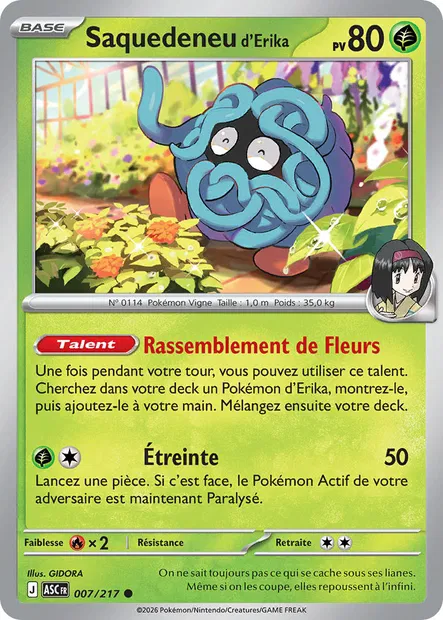 007/217 - Saquedeneu d'Erika - ME2.5 Héros Transcendants