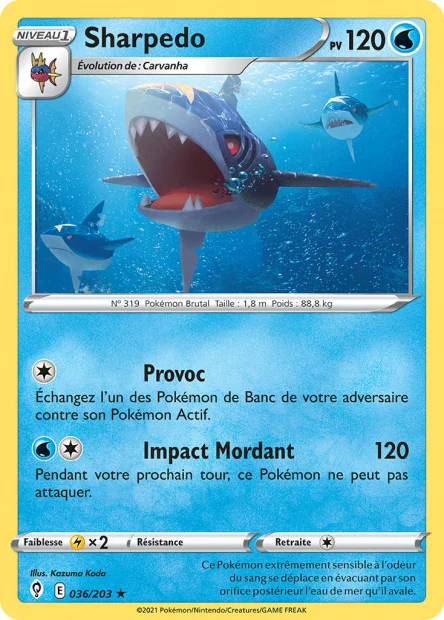 036/203 -  Sharpedo - EB7 Evolution Celeste
