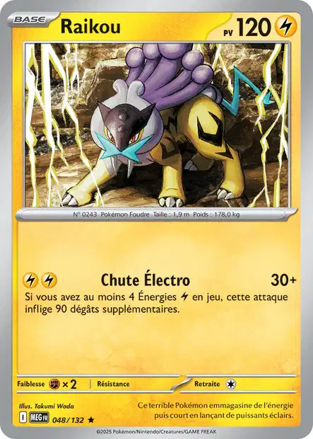 048/132 - Raikou - ME01 MĂ©ga-Ăvolution