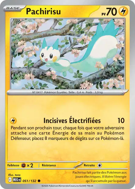 051/132 - Pachirisu - ME01 Méga-Évolution