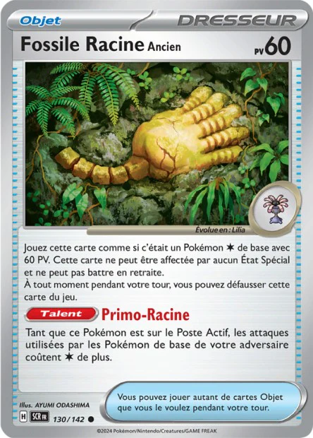 130/142 - Fossile Racine Ancien - EV7 Couronne Stellaire