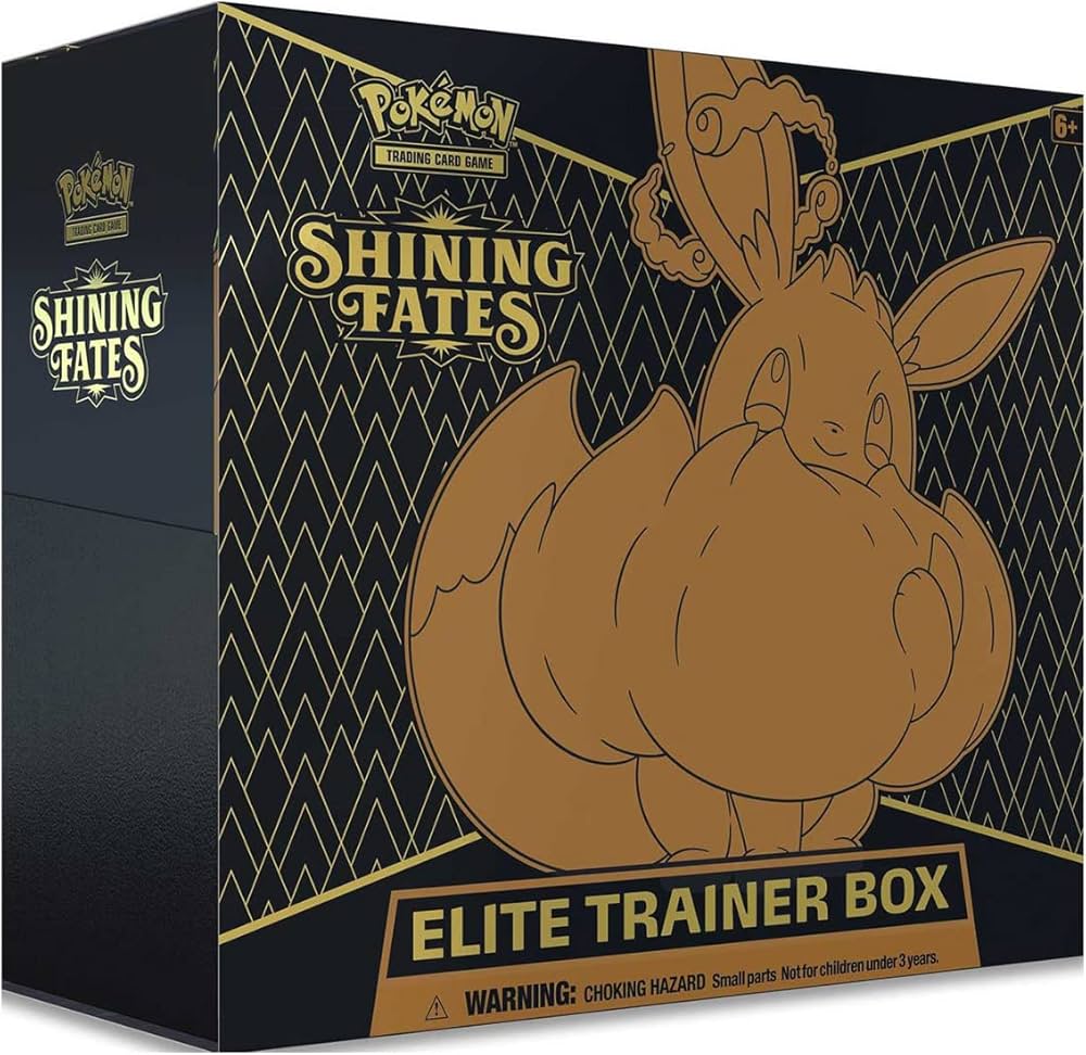 Coffret Dresseur d'Elite / ETB - Destinées Radieuses EB4.5 🇫🇷