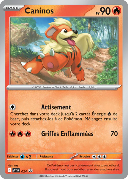 SVP024 - Caninos - PROMO